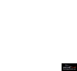 Nejnovější foto